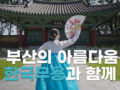 부산 핫플레이스를 찾아서 한국무용