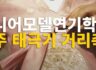 나주 태극기 퍼레이드 행사 영상
